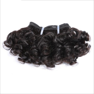 Deniya 6 Inches Bouncy Kinky Curly Human Hair Weft Human Hair Extensions