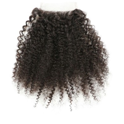 Deniya Afro Kinky Curly Human Hair Extension Weft Women Invisible Hair Closure