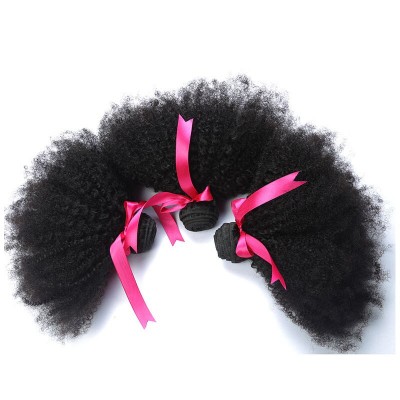 Deniya Afro Kinky Curly Human Hair Extension Weft Women Hair Bundles